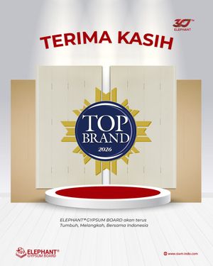 TOP Brand 2026